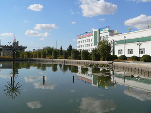 64f6bf960c007.jpg
